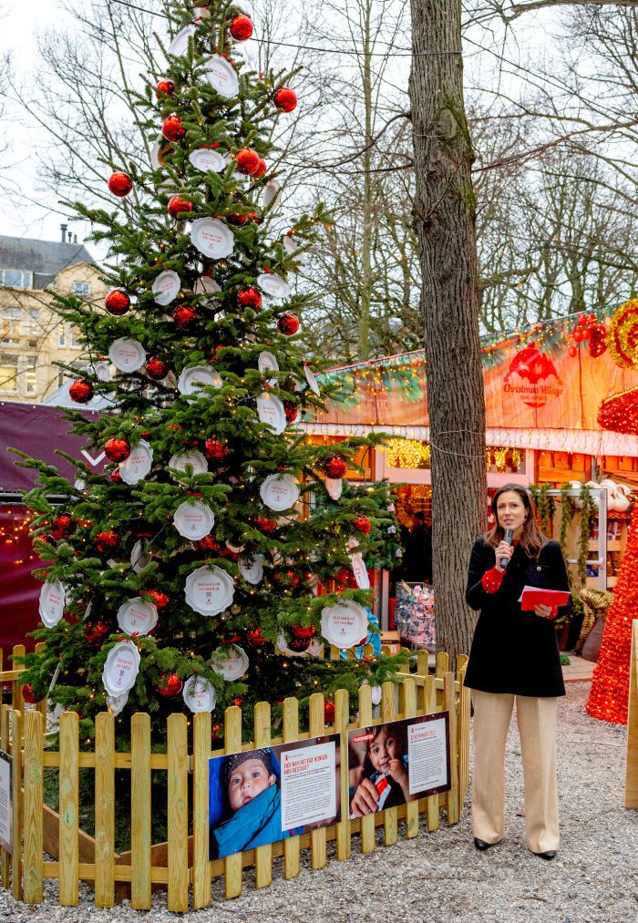 Stijl prinses Viktoria kersttrui Save the Children