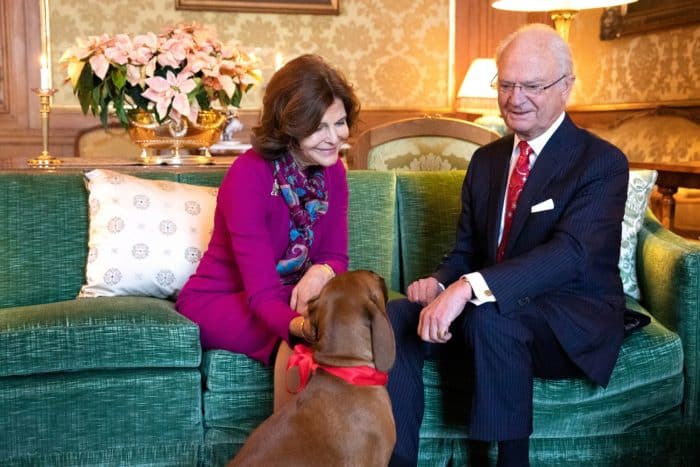 Carl Gustaf Silvia hond Brandy